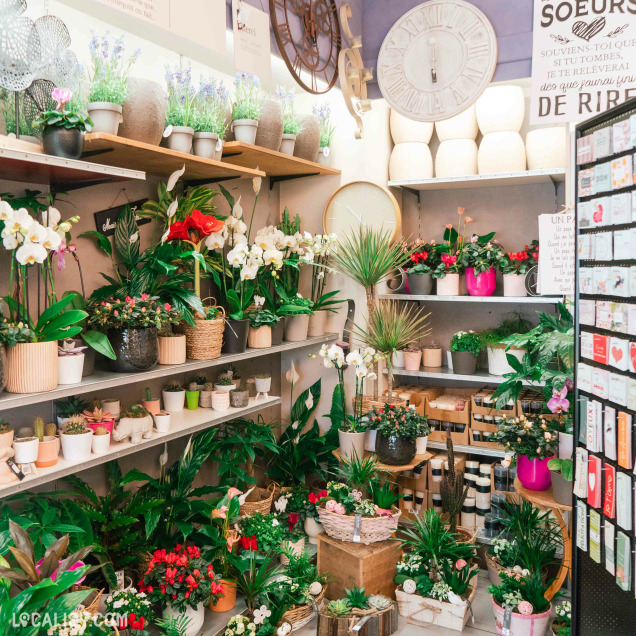 Un coin du magasin rempli de plantes vertes et fleuries, organisées sur des étagères et dans des pots de différentes tailles. Des orchidées blanches et roses, des plantes grasses et des pots en terre cuite sont disposés harmonieusement. L’ambiance est naturelle et cosy, avec une décoration murale comprenant des horloges et des citations inspirantes.