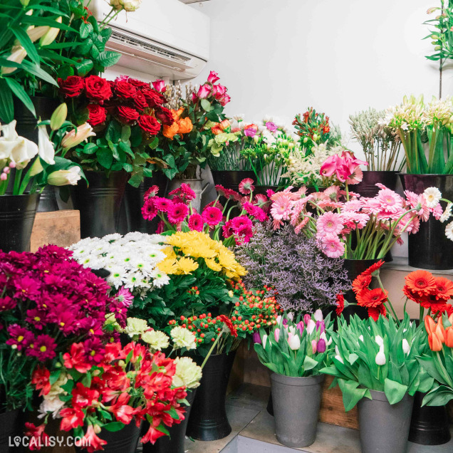 Un espace rempli de fleurs coupées aux couleurs vives : roses rouges, gerberas jaunes, tulipes violettes, lys blancs et autres variétés printanières. Les fleurs sont soigneusement disposées dans des seaux noirs, créant une explosion de couleurs et de fraîcheur.
