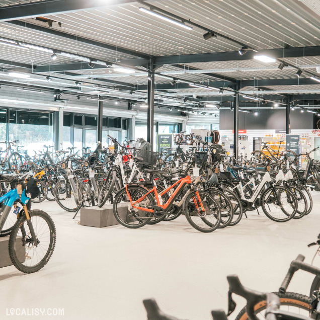 Une vaste salle d’exposition lumineuse remplie de vélos de route, gravel, VTT et vélos électriques. Les vélos sont soigneusement alignés sur des supports, et l’espace est organisé de manière fluide. Un plafond industriel avec des luminaires modernes éclaire l’ensemble.