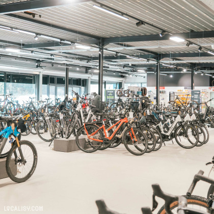 Une vaste salle d’exposition lumineuse remplie de vélos de route, gravel, VTT et vélos électriques. Les vélos sont soigneusement alignés sur des supports, et l’espace est organisé de manière fluide. Un plafond industriel avec des luminaires modernes éclaire l’ensemble.
