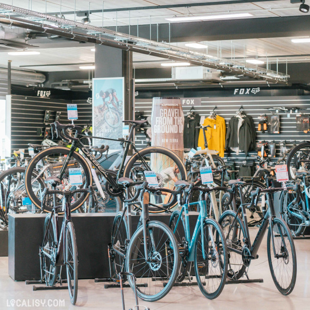 Vue intérieure du magasin Bicyclic Bike Shop Remouchamps, mettant en avant une sélection de vélos de route haut de gamme exposés sur des présentoirs, avec des vêtements et accessoires de cyclisme en arrière-plan.