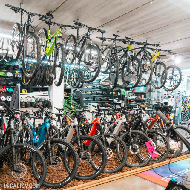 Vue intérieure d’un magasin de vélos avec des vélos accrochés au plafond, des accessoires comme des casques et pneus en arrière-plan, et de nombreux vélos électriques exposés au sol.