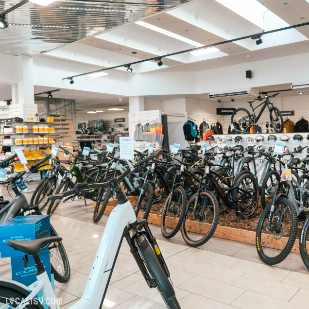 Rayons de vélos et accessoires dans le magasin Bicyclic à Marche-en-Famenne, commerce de vélos.