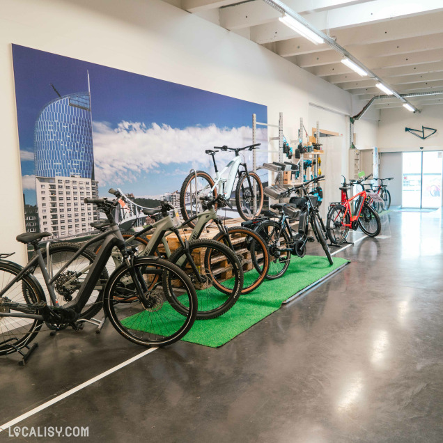Gamme de vélos en présentation chez Vélos Evolution à Liège, commerce de vélos.