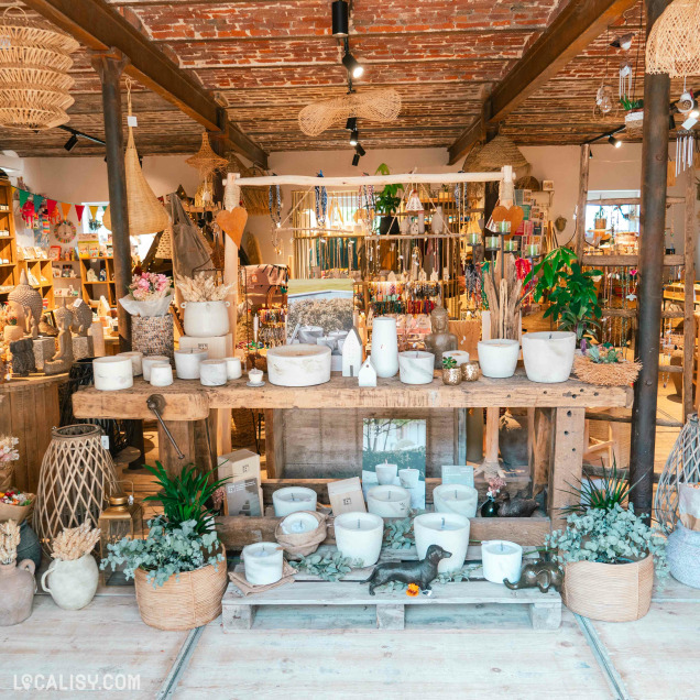 Présentation de bougies et plantes dans le commerce de décoration L'Ane au Salon à Berneau