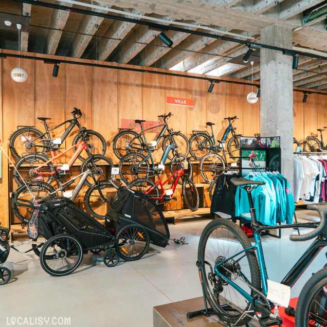 Ambiance intérieure du magasin de vélos Kameo Bikes à Liège avec différents modèles de vélos.