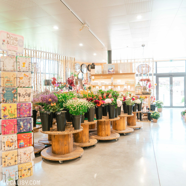 Rayons fleuris et produits artisanaux chez Flor'Aline à Saint-Georges-sur-Meuse.