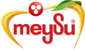 Meysu