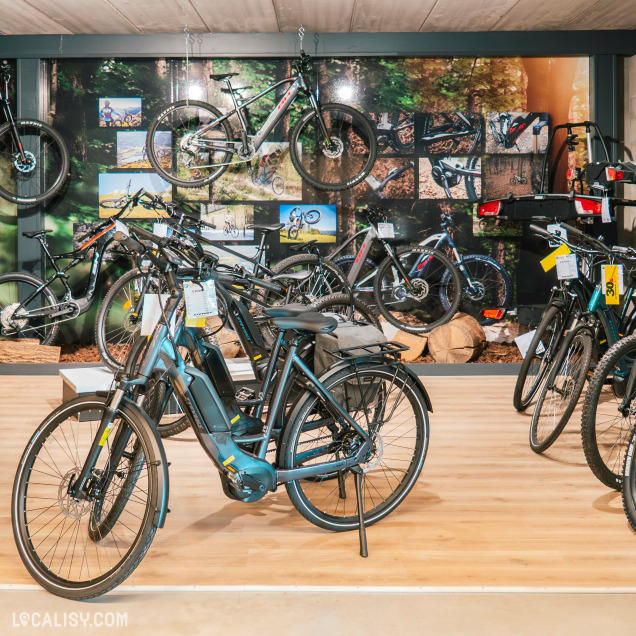 Alignement de vélos électriques gris dans la zone d'exposition du magasin E-bike à Nandrin, avec des accessoires en arrière-plan.